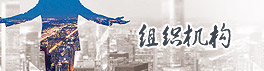 组织结构